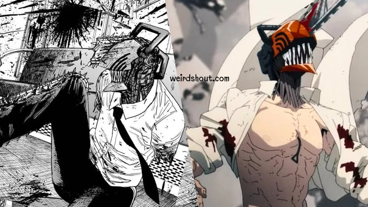 How many Chainsaw Man volumes are there? Unraveling it's Fascinating
