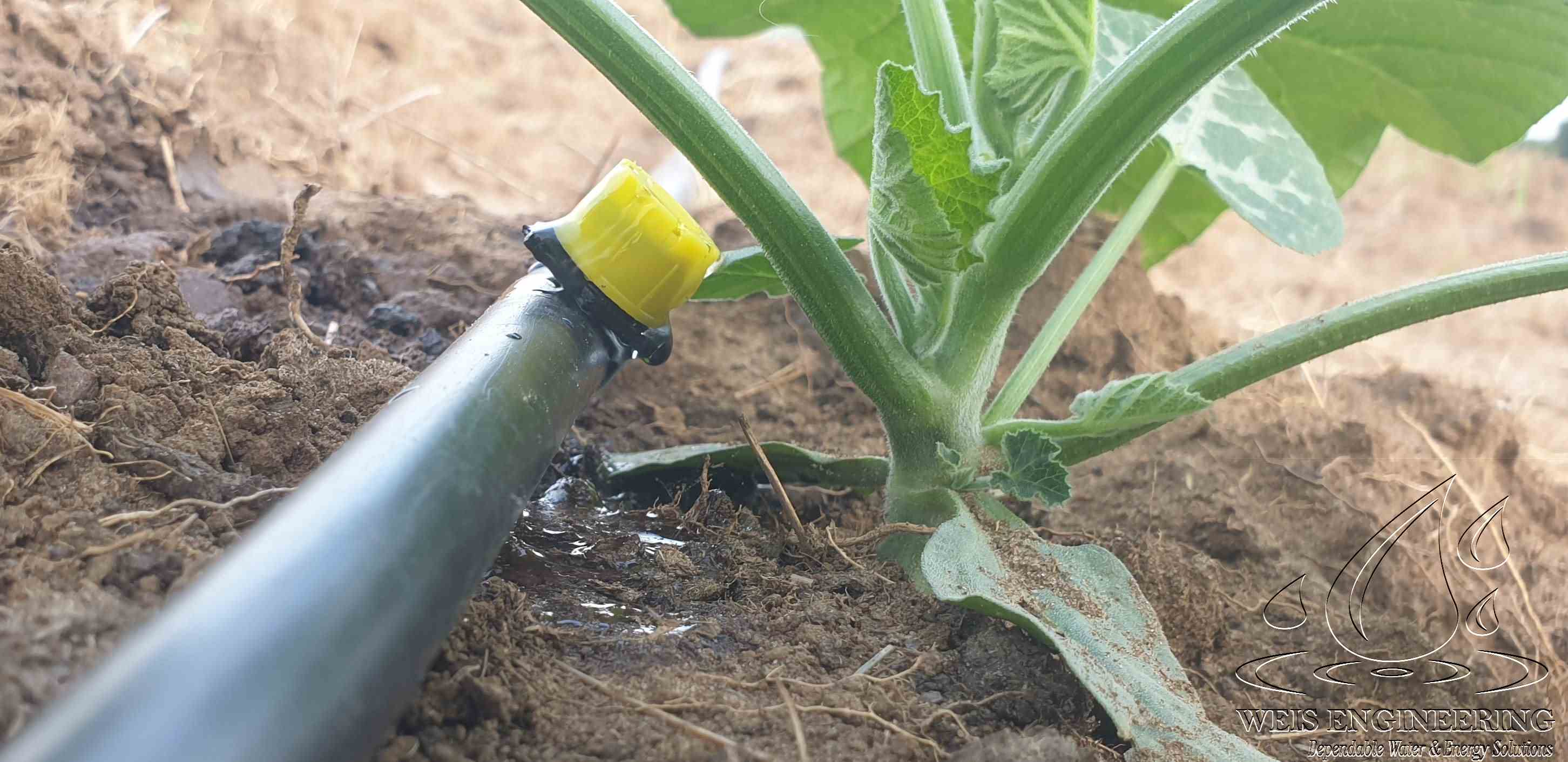 Drip irrigation systems Weis Engineering Ltd