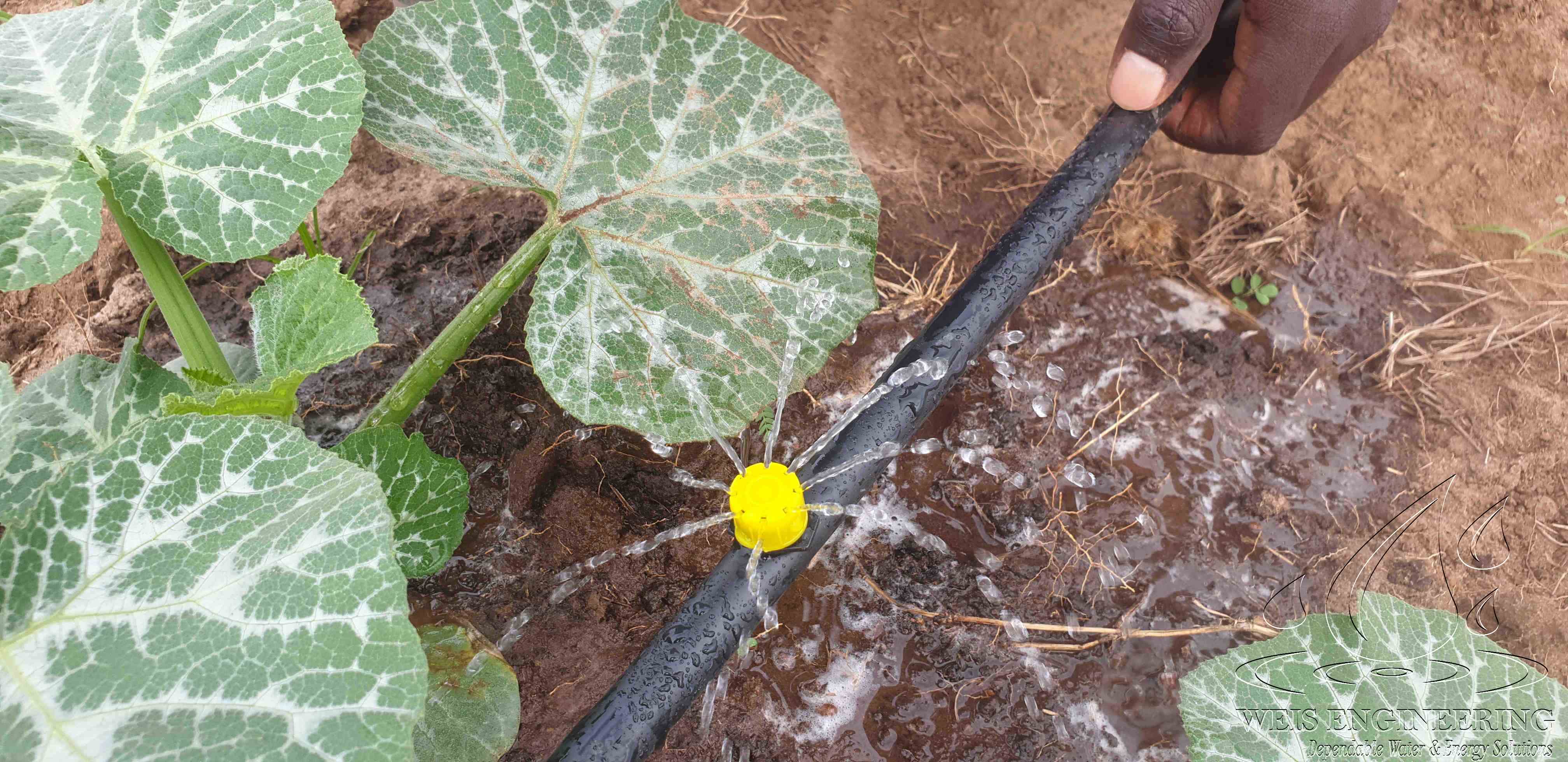 Drip irrigation systems