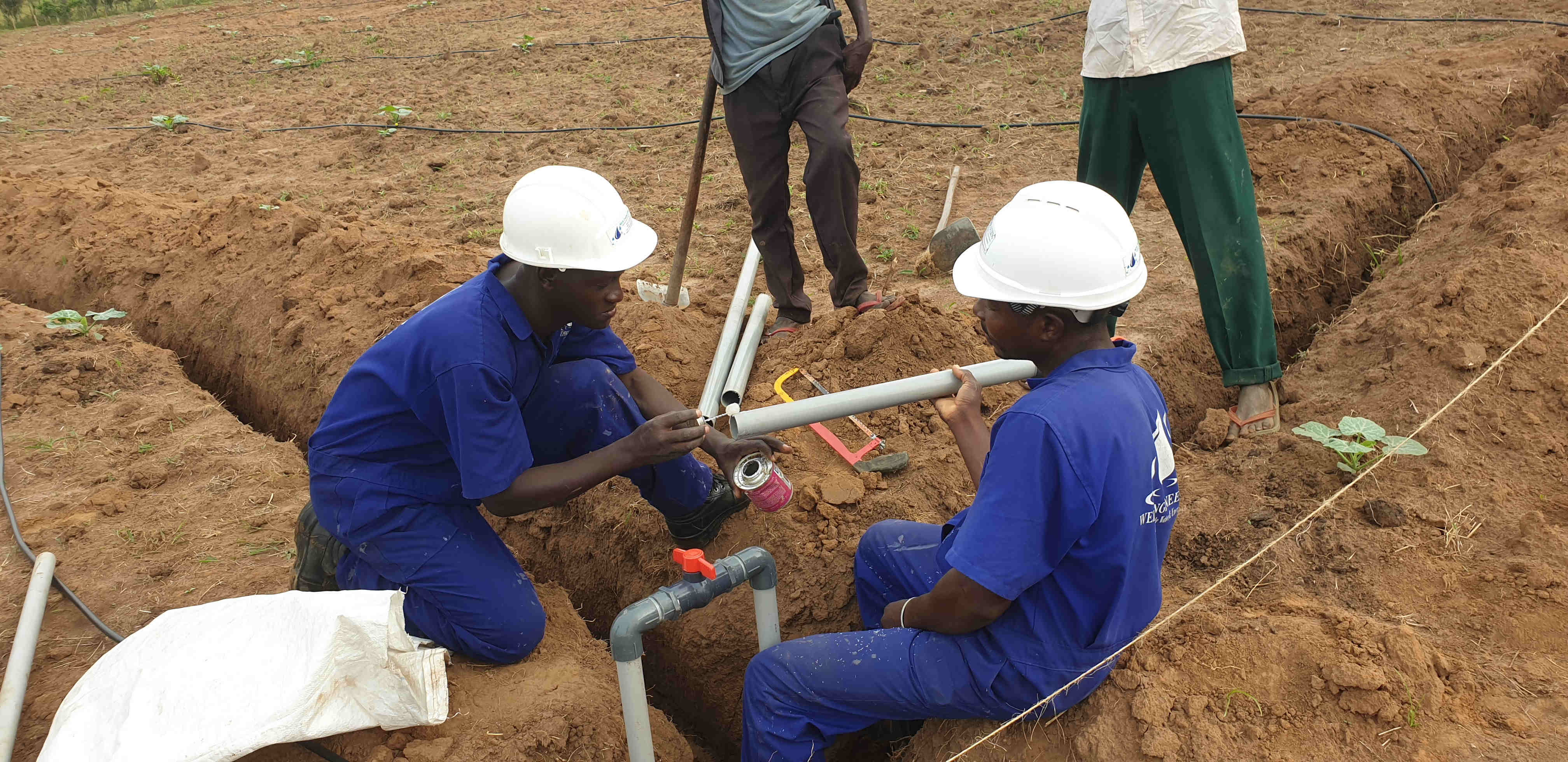 Drip irrigation systems Weis Engineering Ltd