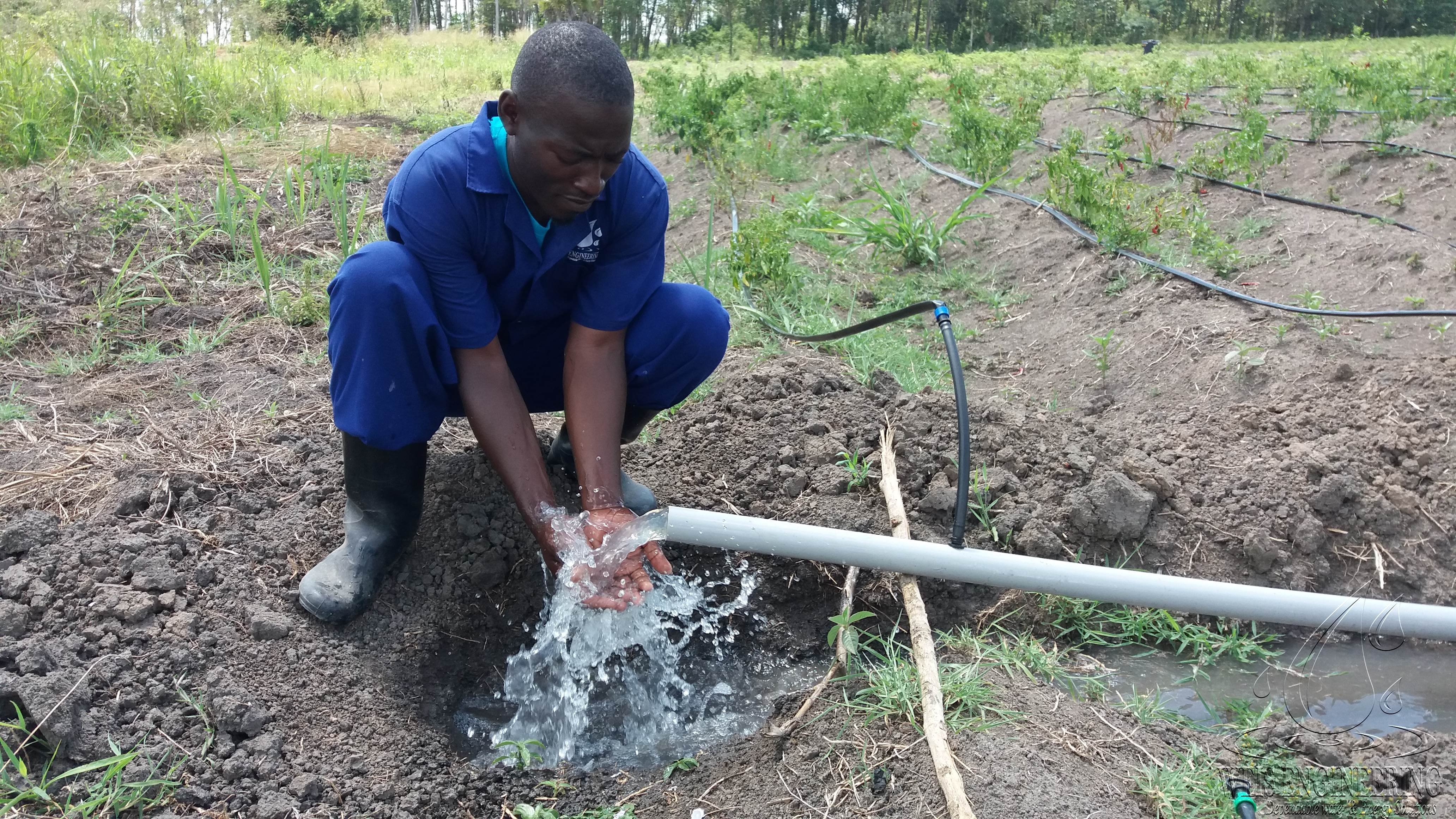 Drip irrigation system flushing Weis Engineering Ltd