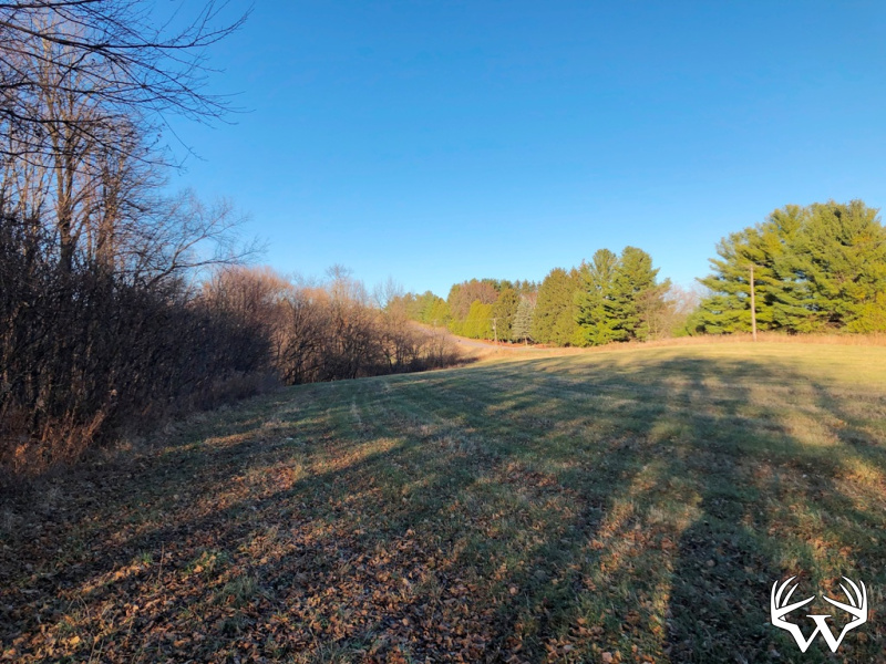 Weiss Realty Country Dreamin’