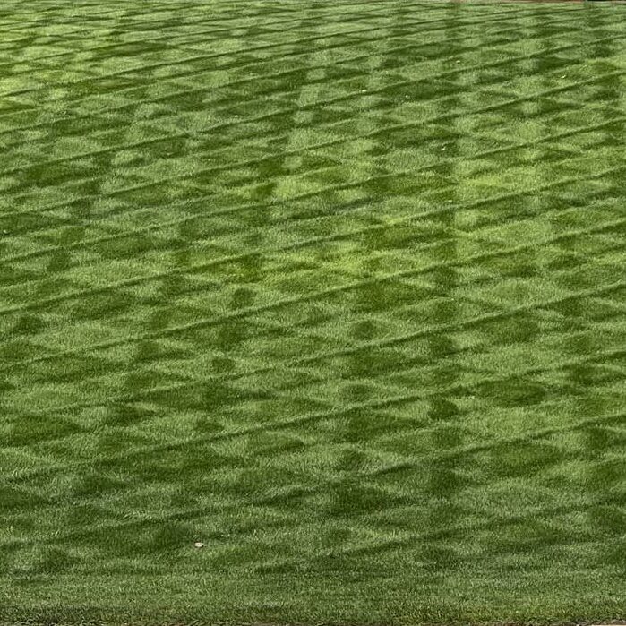 External Property Maintenance Weiss Property Management