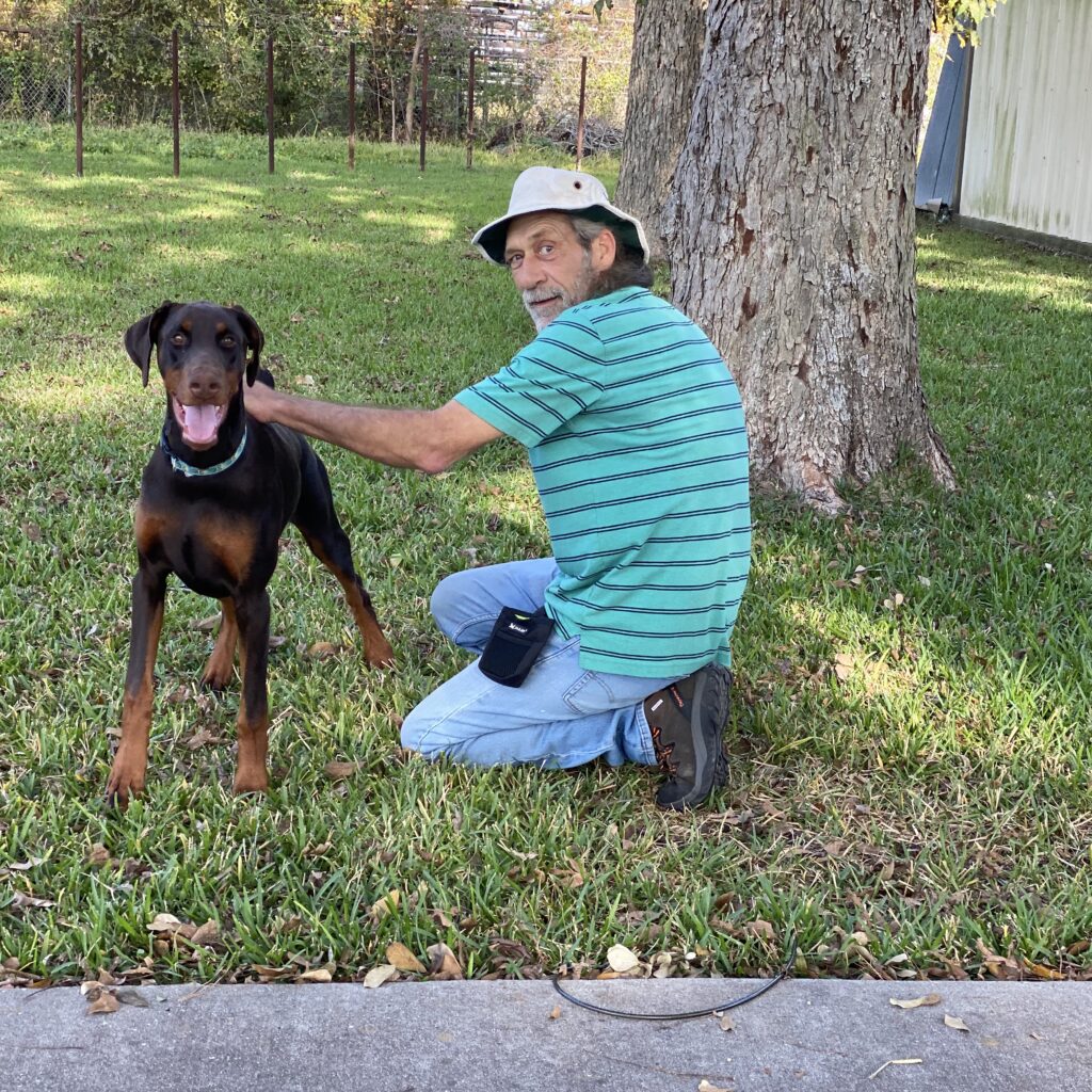 Services We Keep Dogs Training & Boarding