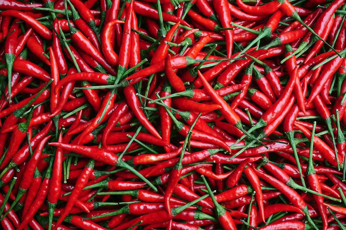 Melbourne Chilli Festival