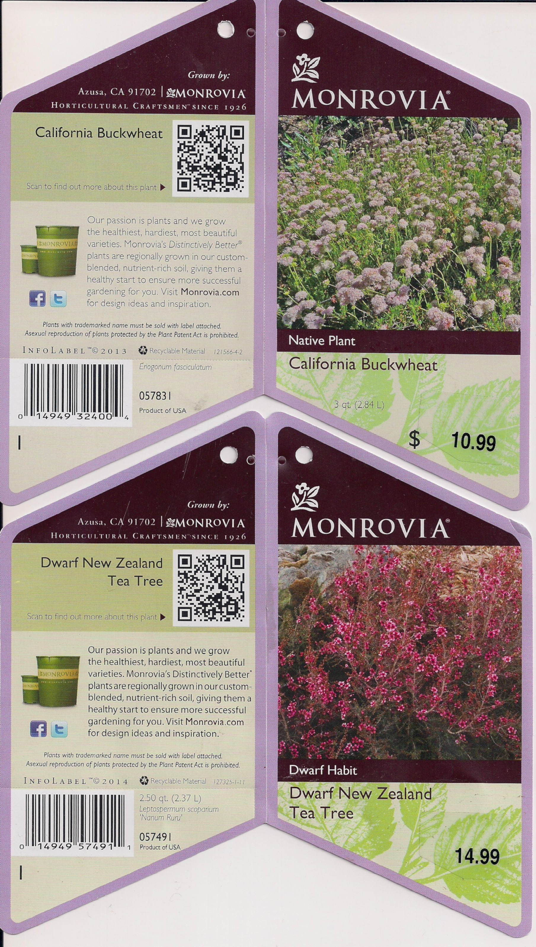 Information tags from my Monrovia Plants I hope to install this weekend