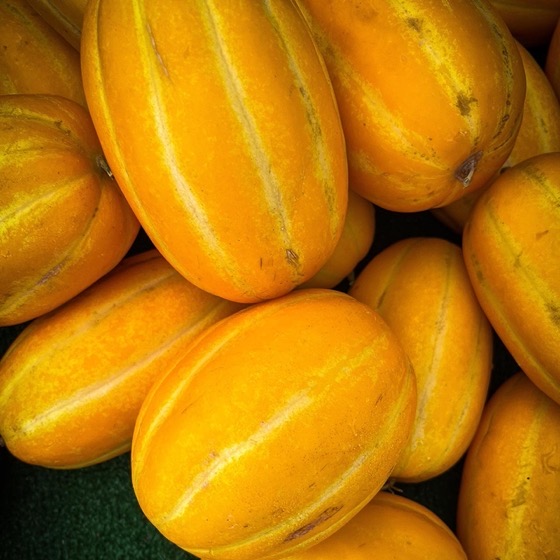 Oriental Melons at the Farmer’s Market via Instagram [Photography] A