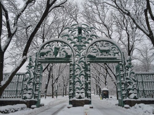 Pictures of the Day A Winter Wonderland At The Bronx Zoo