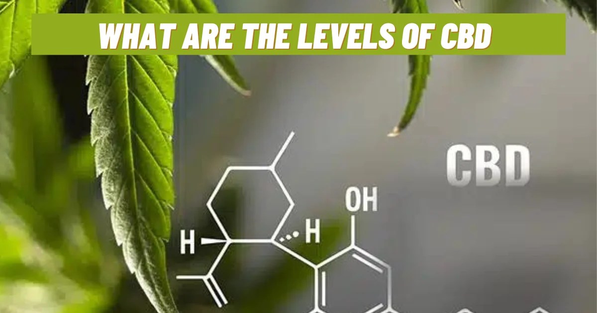 What Are The Levels Of CBD? Is it legal? Marijuana