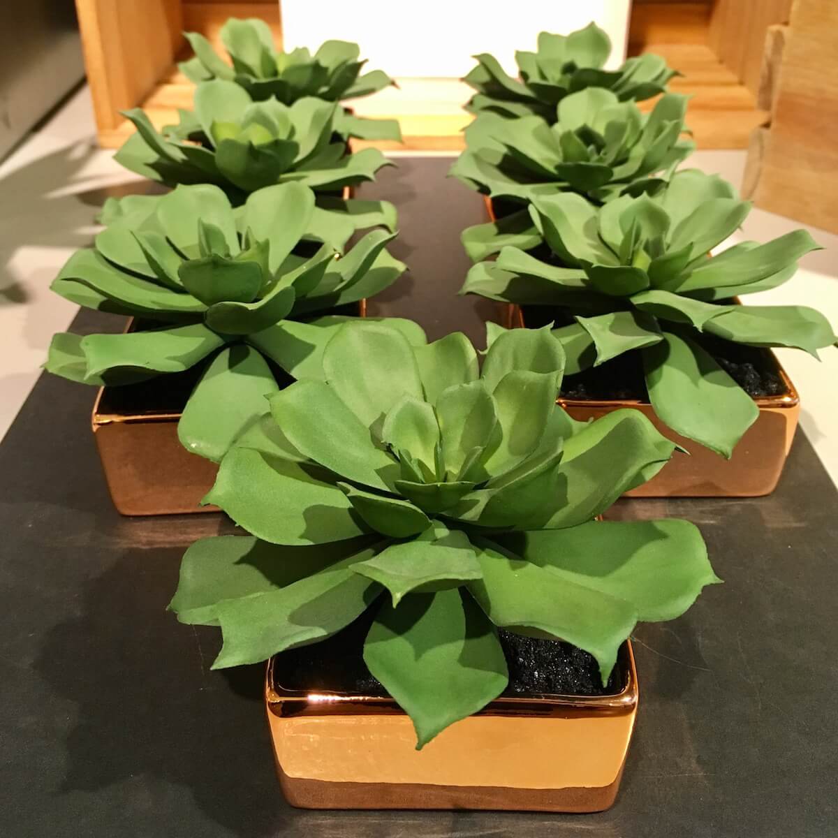 Fake Plants That Look Great from CB2 & Target Objects