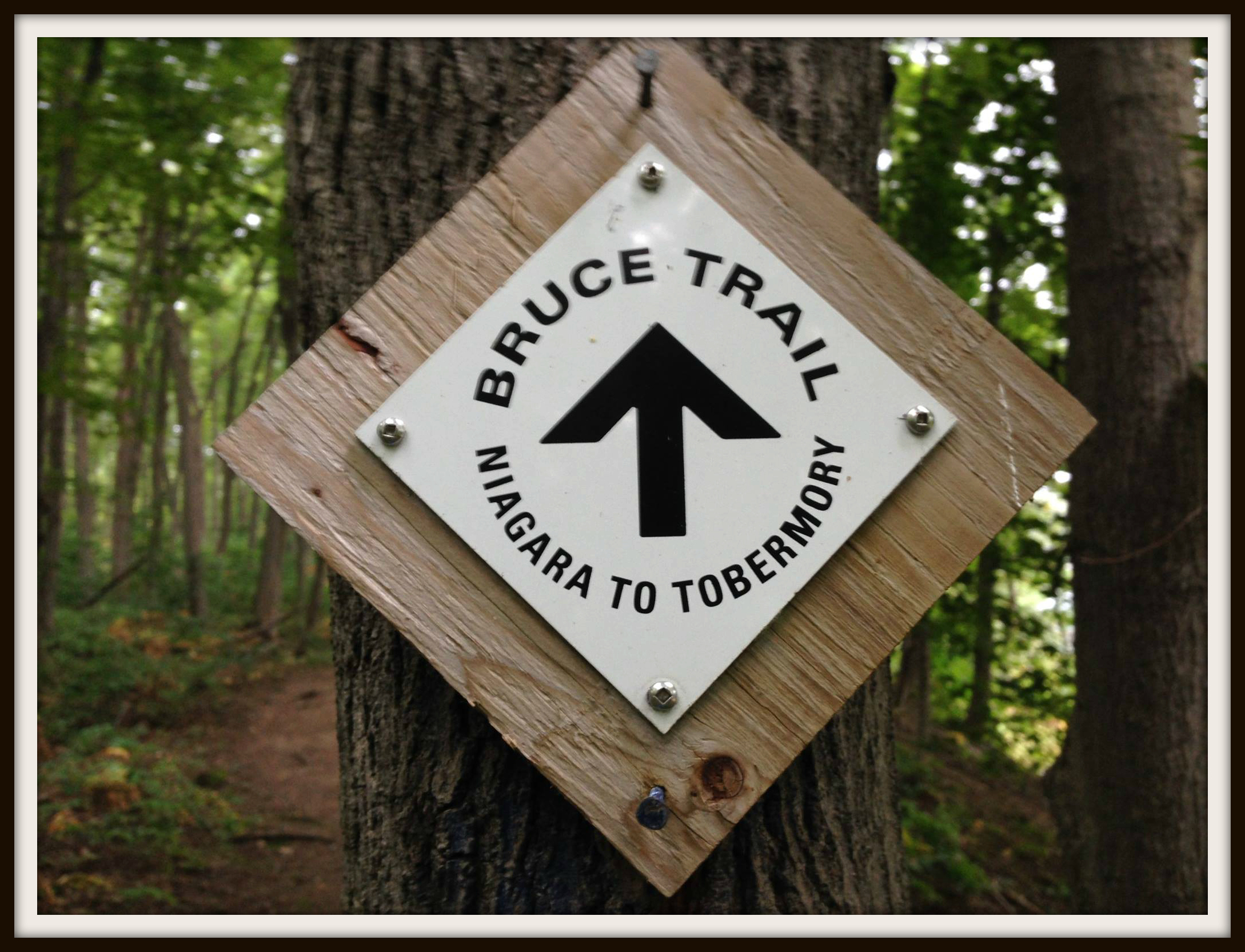The Bruce Trail To Grey Bruce