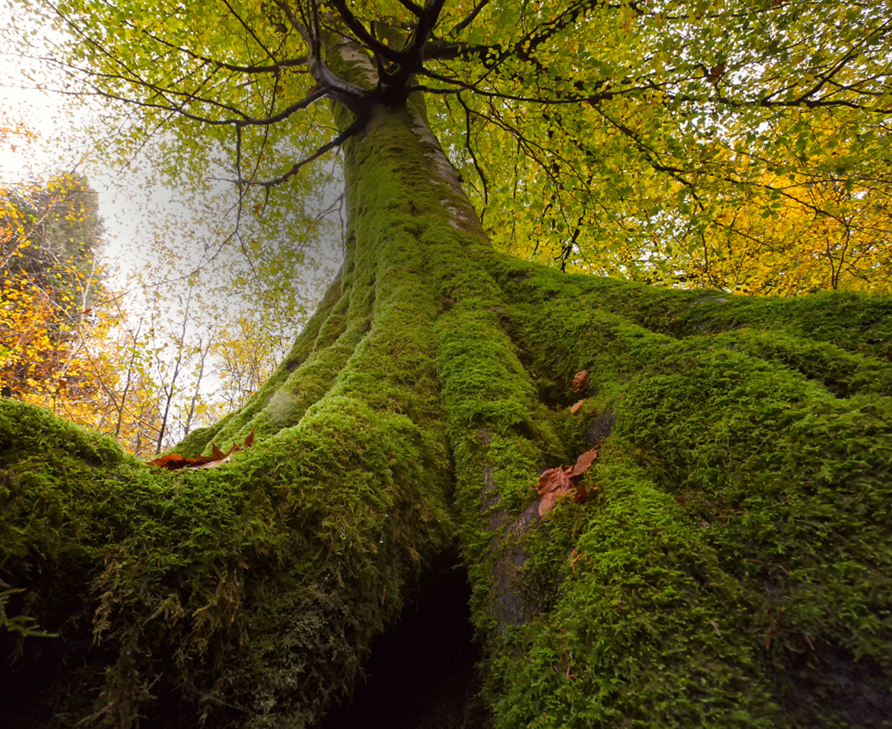 Weld Riley, S.C. Eau Claire Law Firm Weld Riley Attorneys