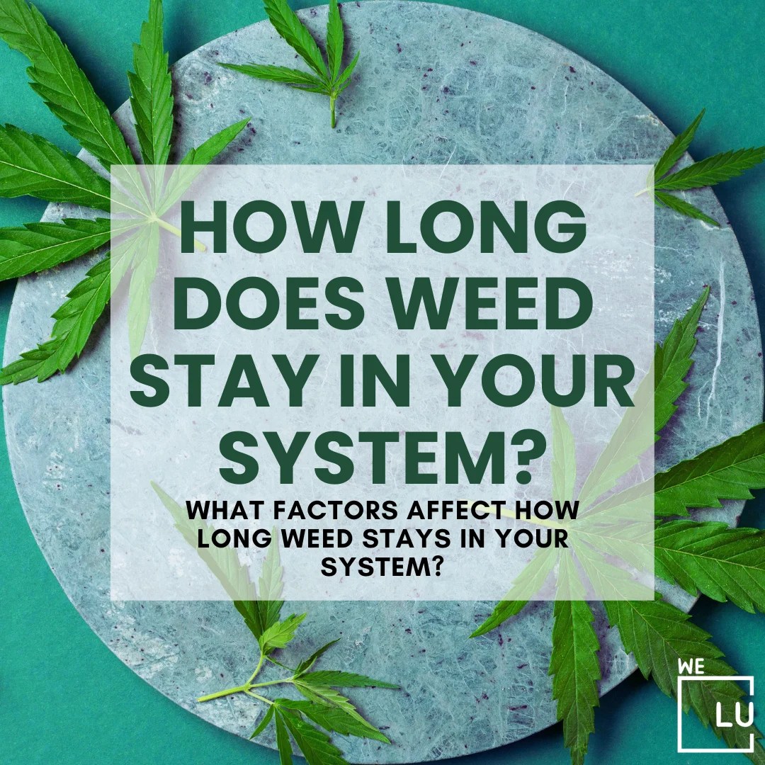 How Long Does Weed Stay In Your Blood Stream?