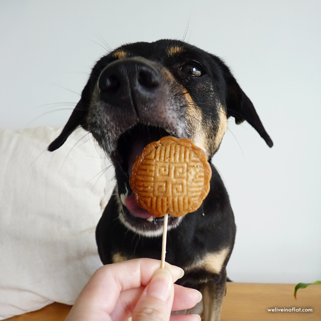 Mooncake flavours from Singapore Dog Bakeries this MidAutumn Festival We live in a flat