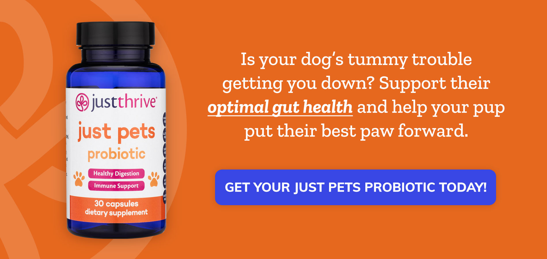 What Is Healthy Food for Pets?