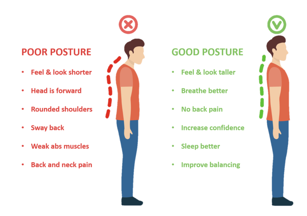 Posture Perfect The Impact of Good Posture on Spinal Health Chiro in