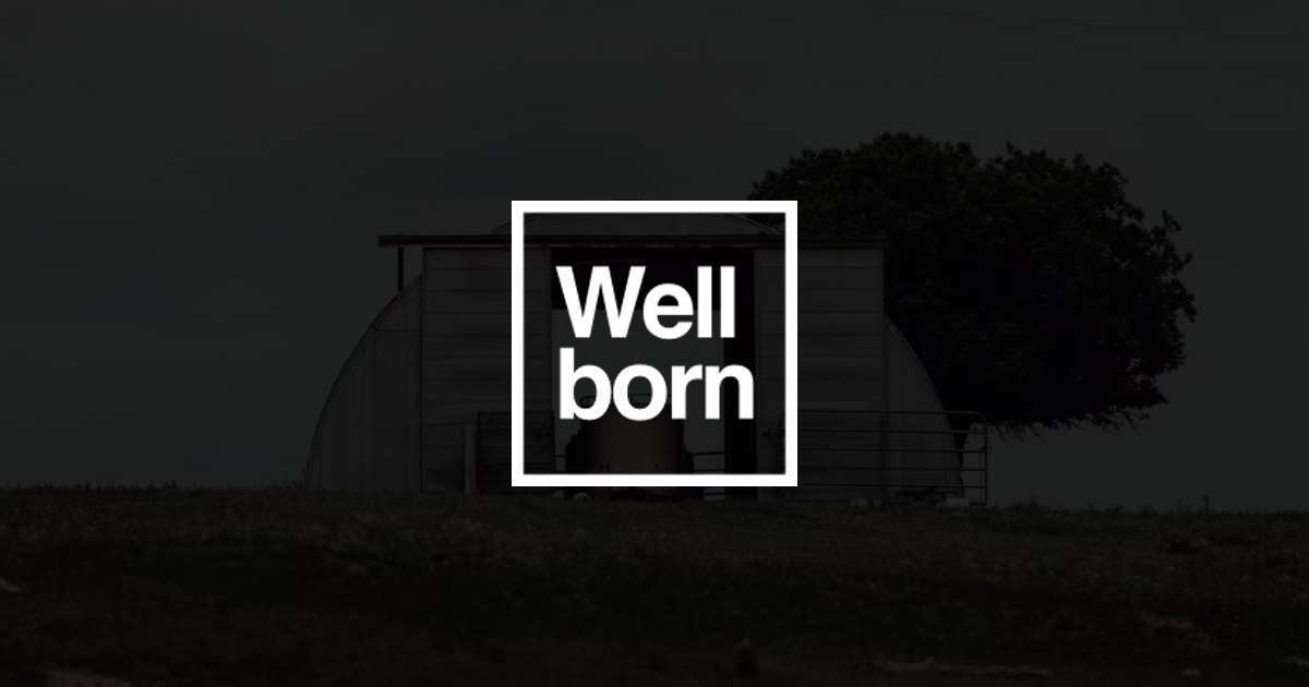 Services Wellborn Real Estate