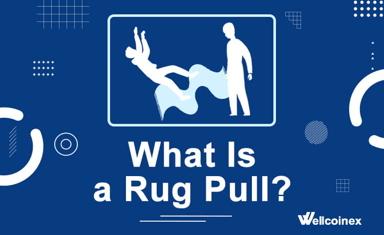 What Is a Rug Pull - Wellcoinex