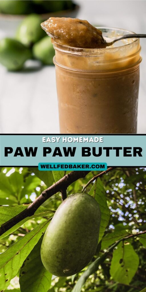 Paw Paw Butter Well Fed Baker