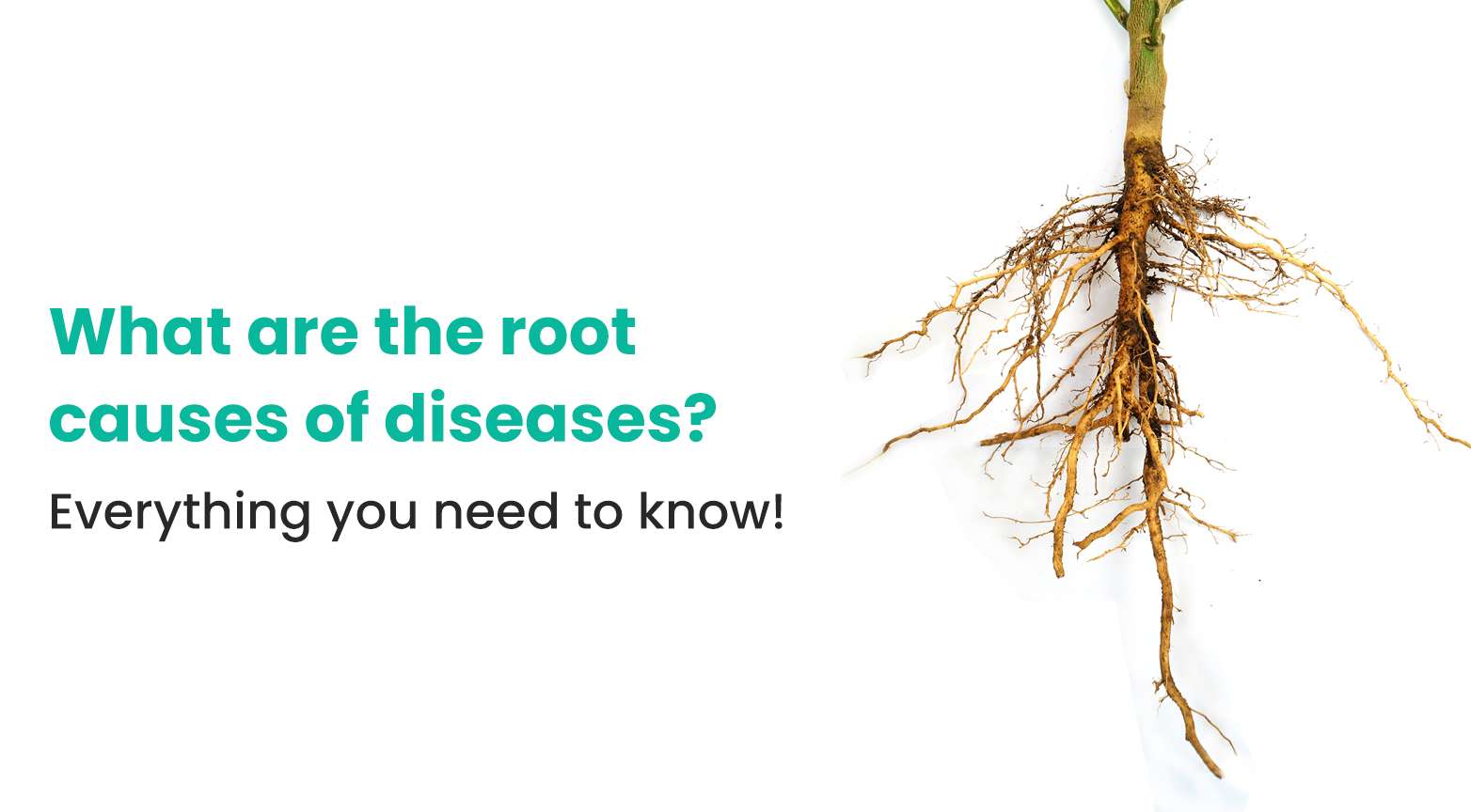 What are the root causes of diseases? Everything you need to know