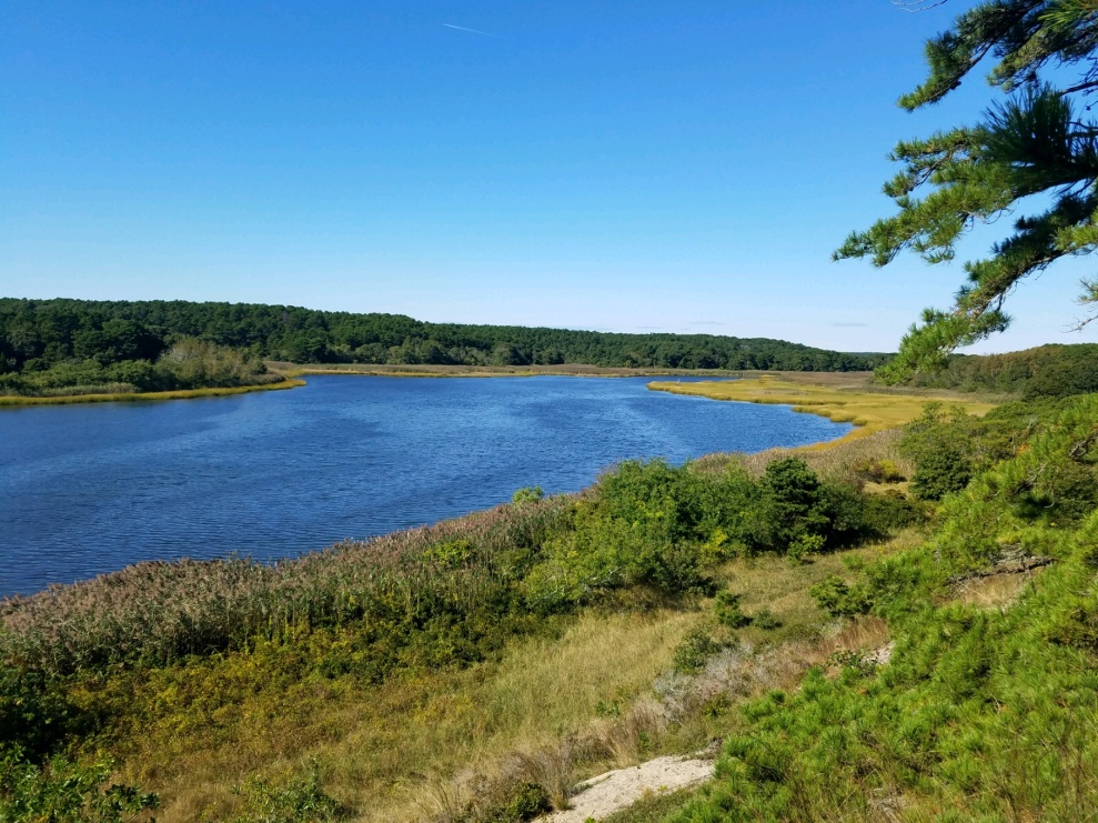 Herring River Overlook Wellfleet Conservation Trust