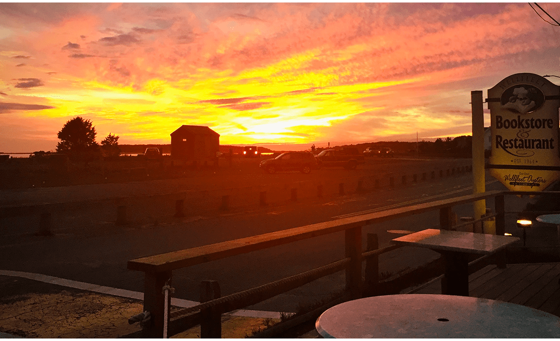 Gallery Wellfleet Bookstore & Restaurant