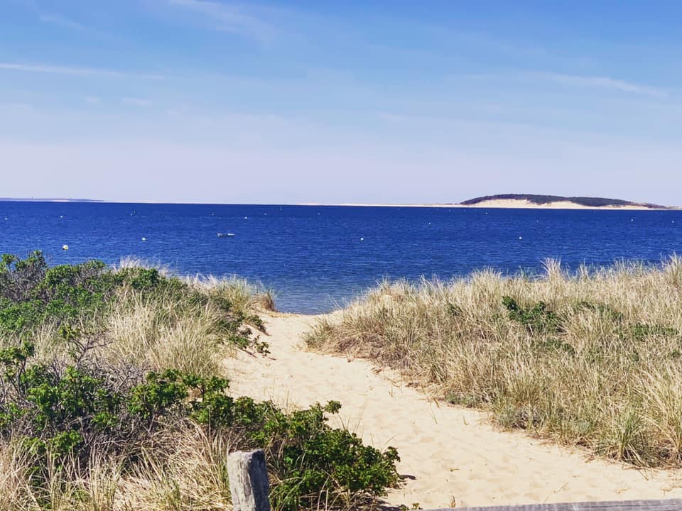 Gallery Wellfleet Bookstore & Restaurant