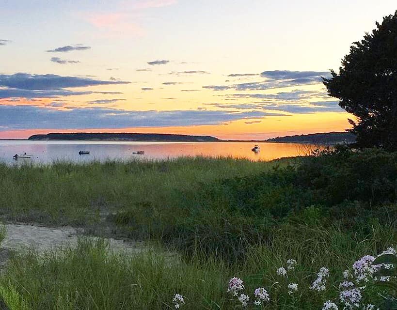 Gallery Wellfleet Bookstore & Restaurant