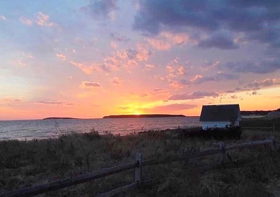 Gallery Wellfleet Bookstore & Restaurant