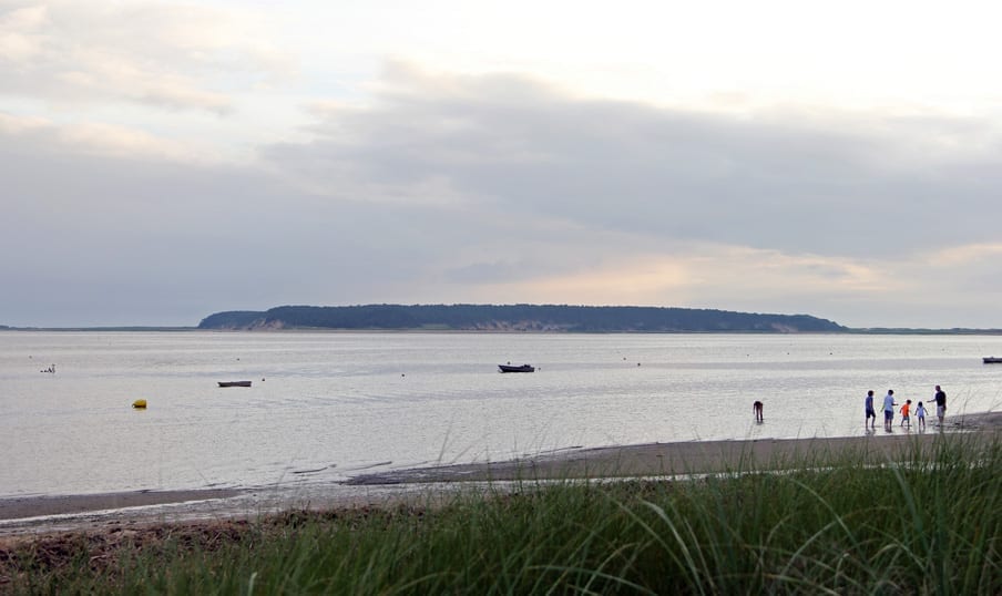 Gallery Wellfleet Bookstore & Restaurant