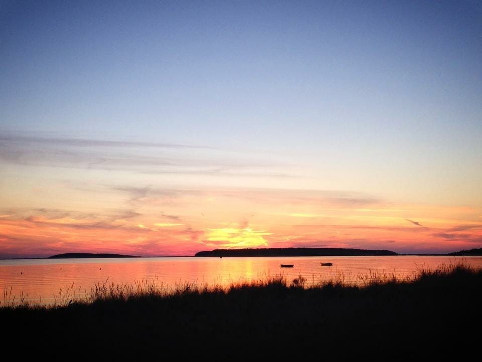 Gallery Wellfleet Bookstore & Restaurant