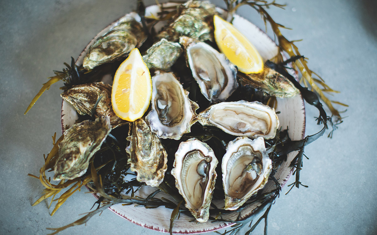 Wellfleet Raw Bars Cape Cod Raw Bar Catering