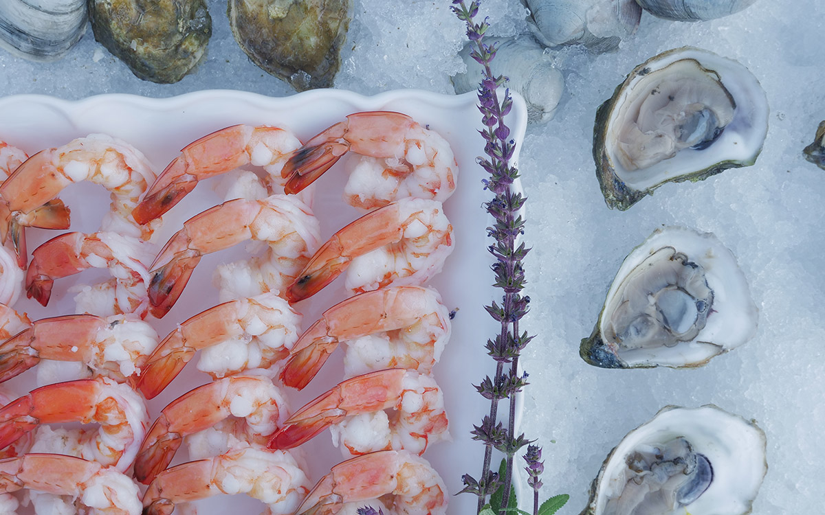 Wellfleet Raw Bars Cape Cod Raw Bar Catering