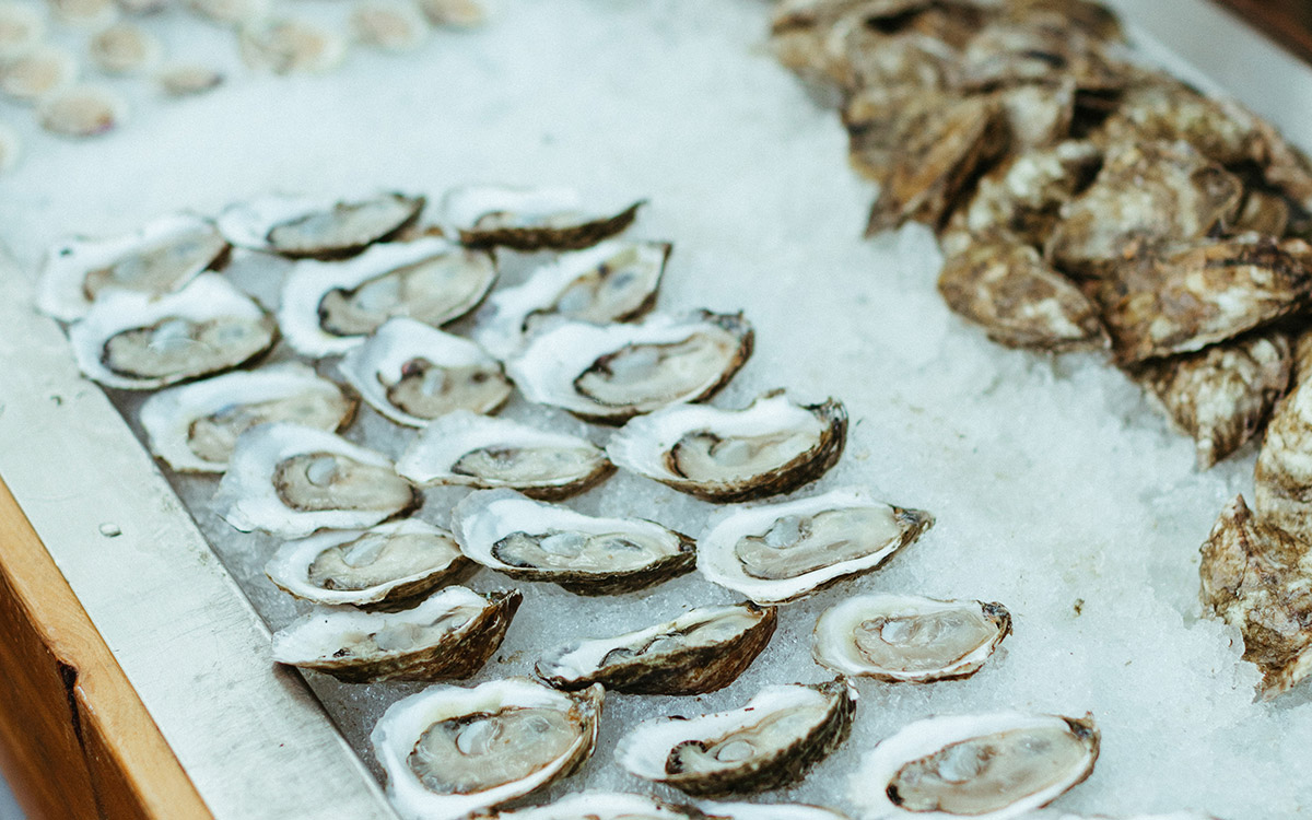 Wellfleet Raw Bars Cape Cod Raw Bar Catering