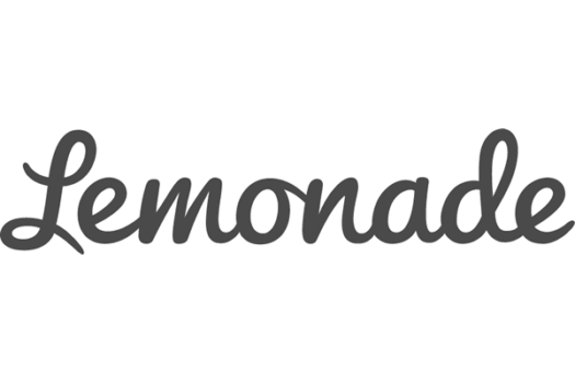 Lemonade Insurance Review (in 2021)