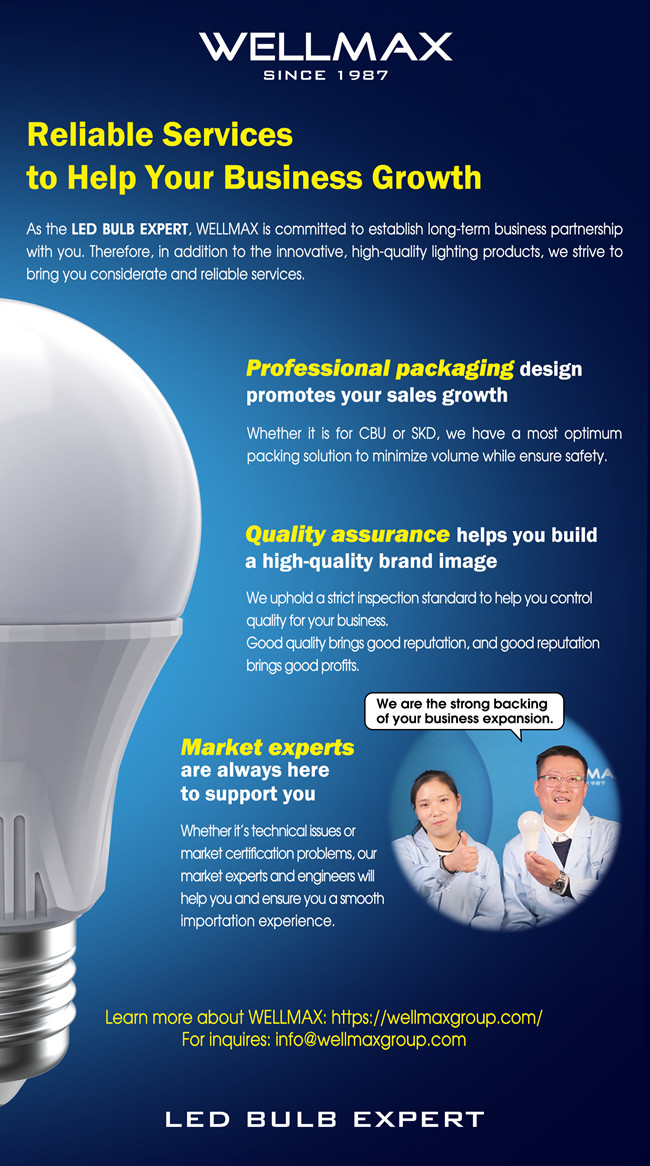 What Makes WELLMAX Services Stand Out? Wellmax