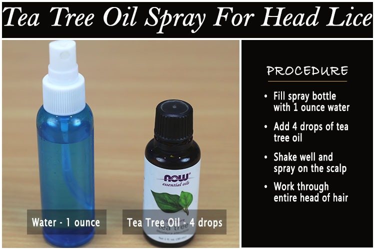 Tea Tree Oil for Head Lice 11 Amazing Ways to Treat Lice (Updated 2019)