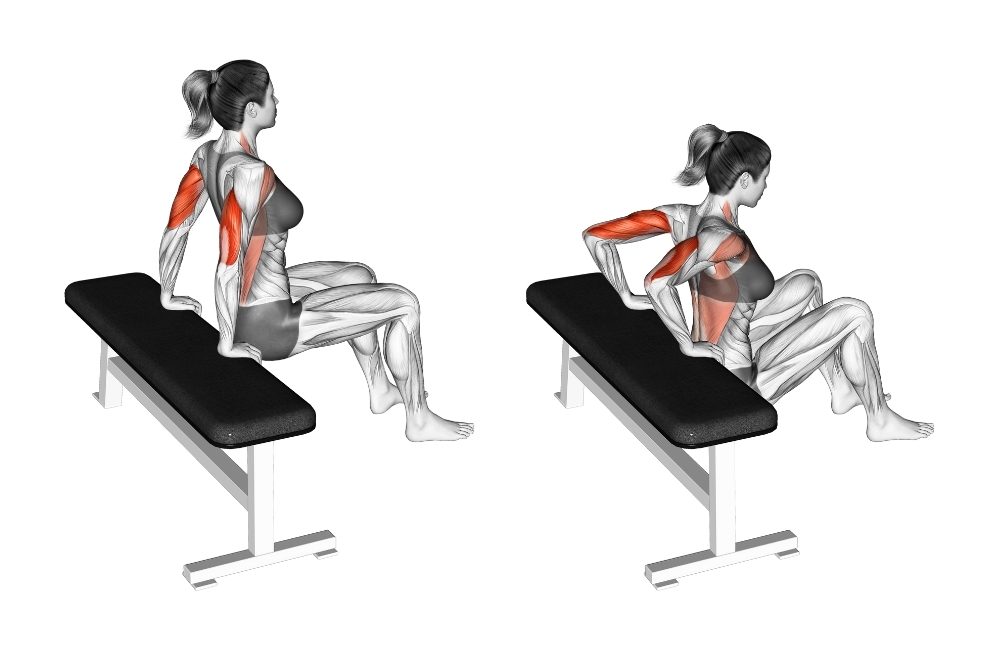 How to Get Toned Arms 6 Best Exercises to Sculpt Your Arms