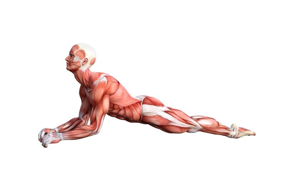 Suffering From Sciatica? These Are the 5 Best Exercises for Immediate
