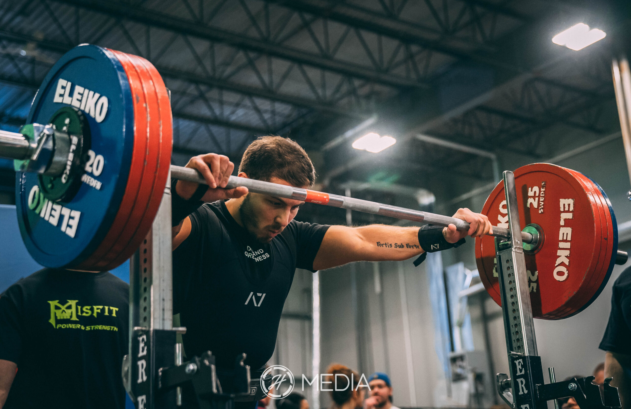 Nutrition for powerlifters Wellness Adept