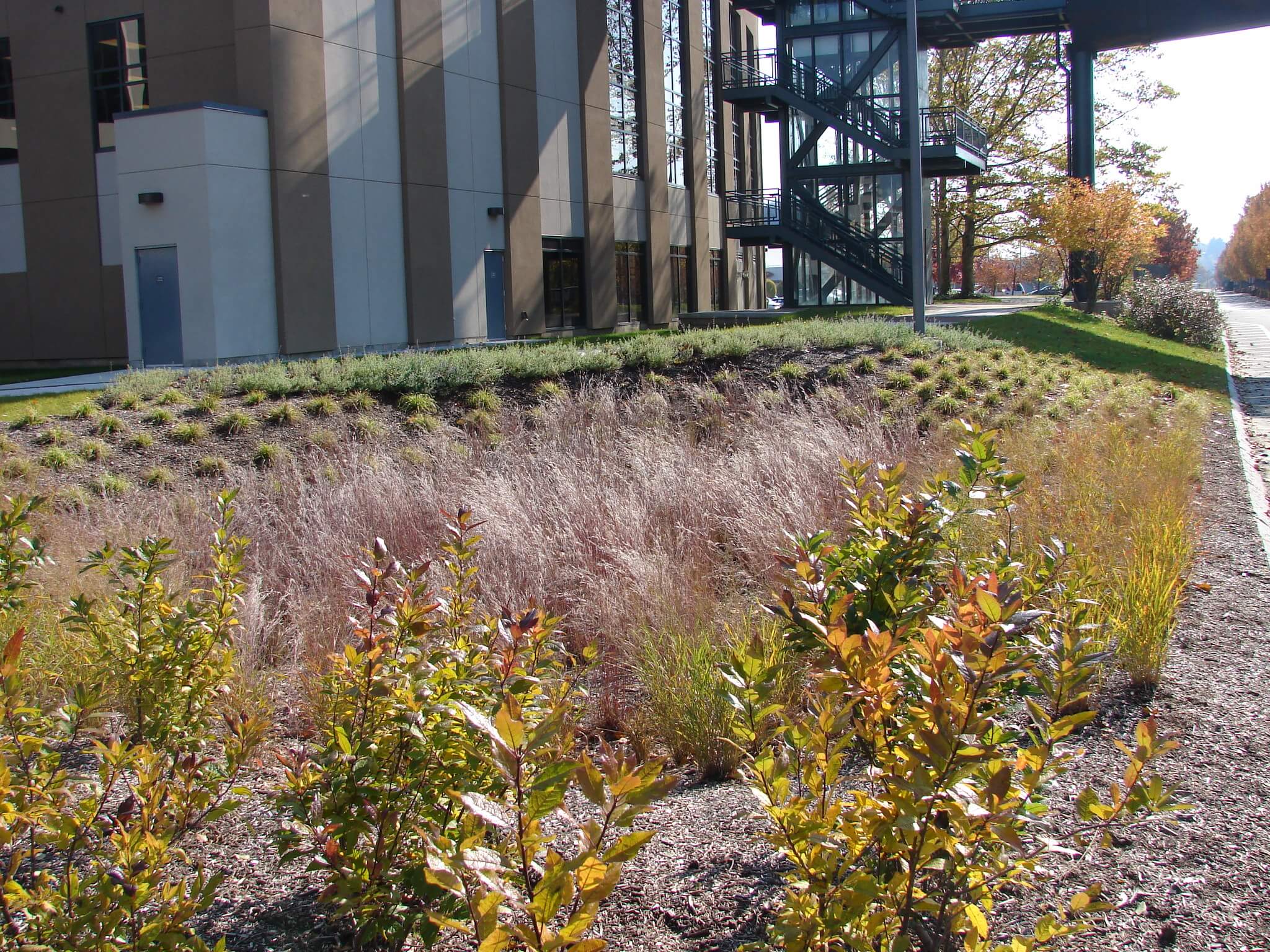 Landscape Design Ideas in New England Wellnesscapes Design