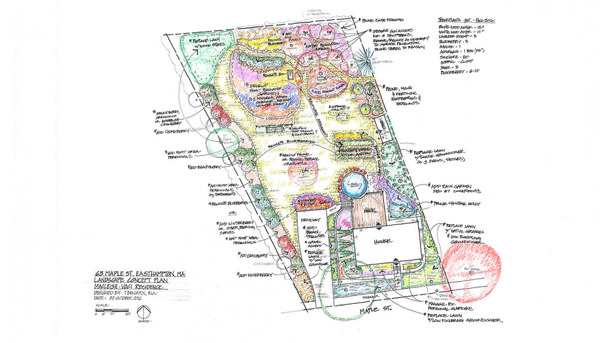 Landscape Design Easthampton, MA Pollinatorfriendly Orchard