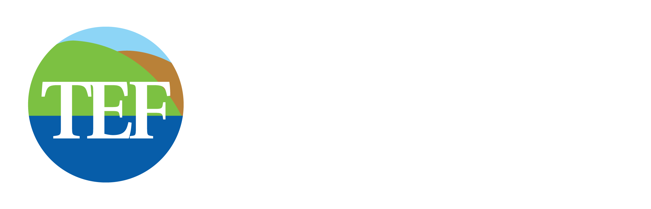 The Optical Zone Wellness in Jamaica TLN