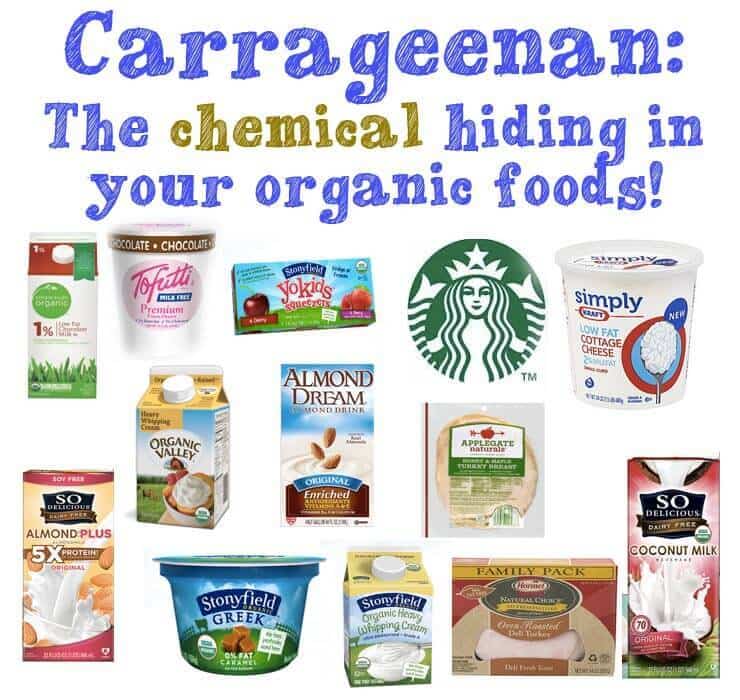 Carrageenan Safety, SideEffects & How to Avoid It Wellness Mama