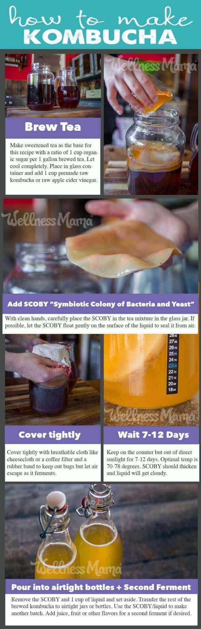 Homemade Kombucha Recipe Wellness Mama