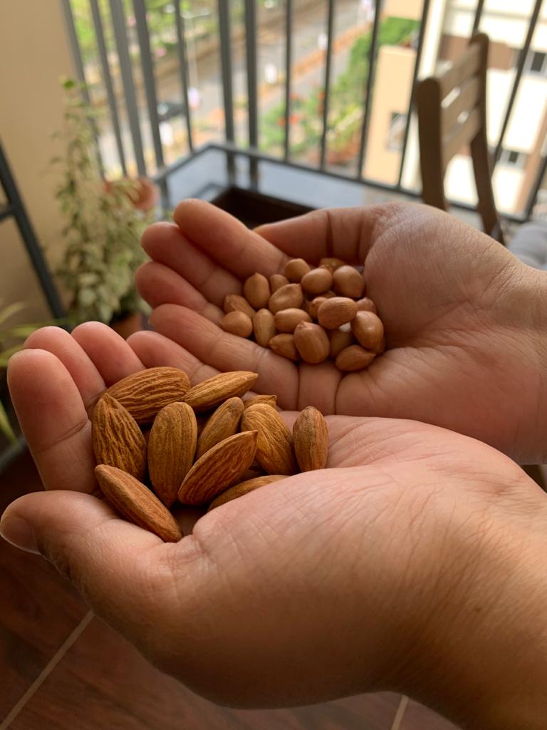 Peanut vs Almonds What to choose? Wellness Munch