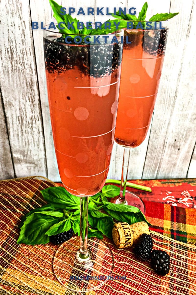 Sparkling Blackberry Basil Cocktail wellnesssleuth