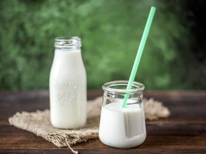 What are the Benefits of Indian Cow Milk?