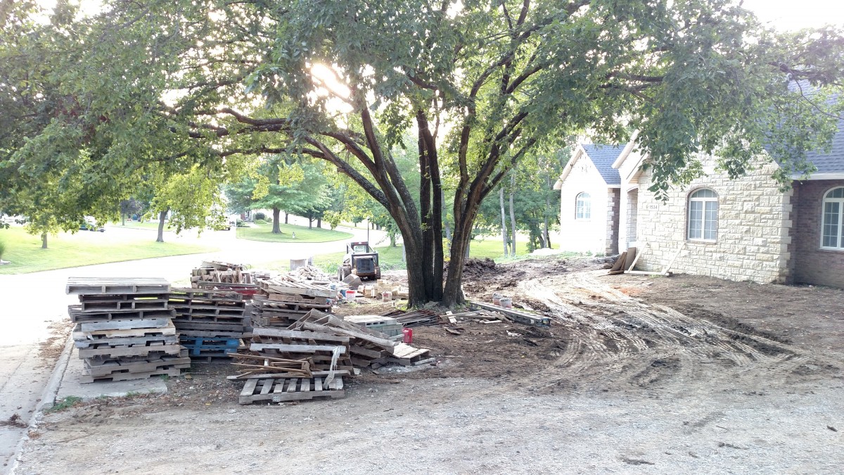 Construction Damage Wellnitz Tree Care Topeka, Emporia, Lawrence KS