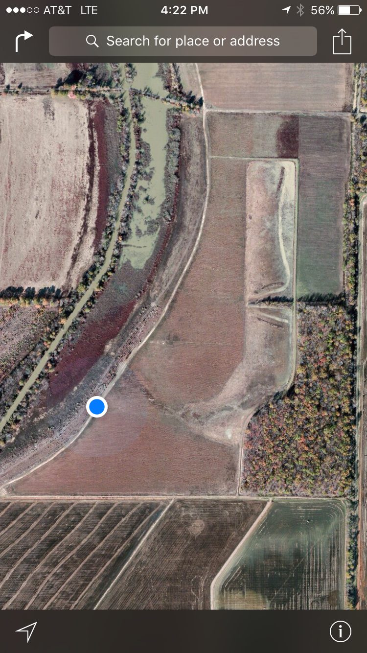 Wildlife, Hunting, and Recreation Development Projects Wellons Land